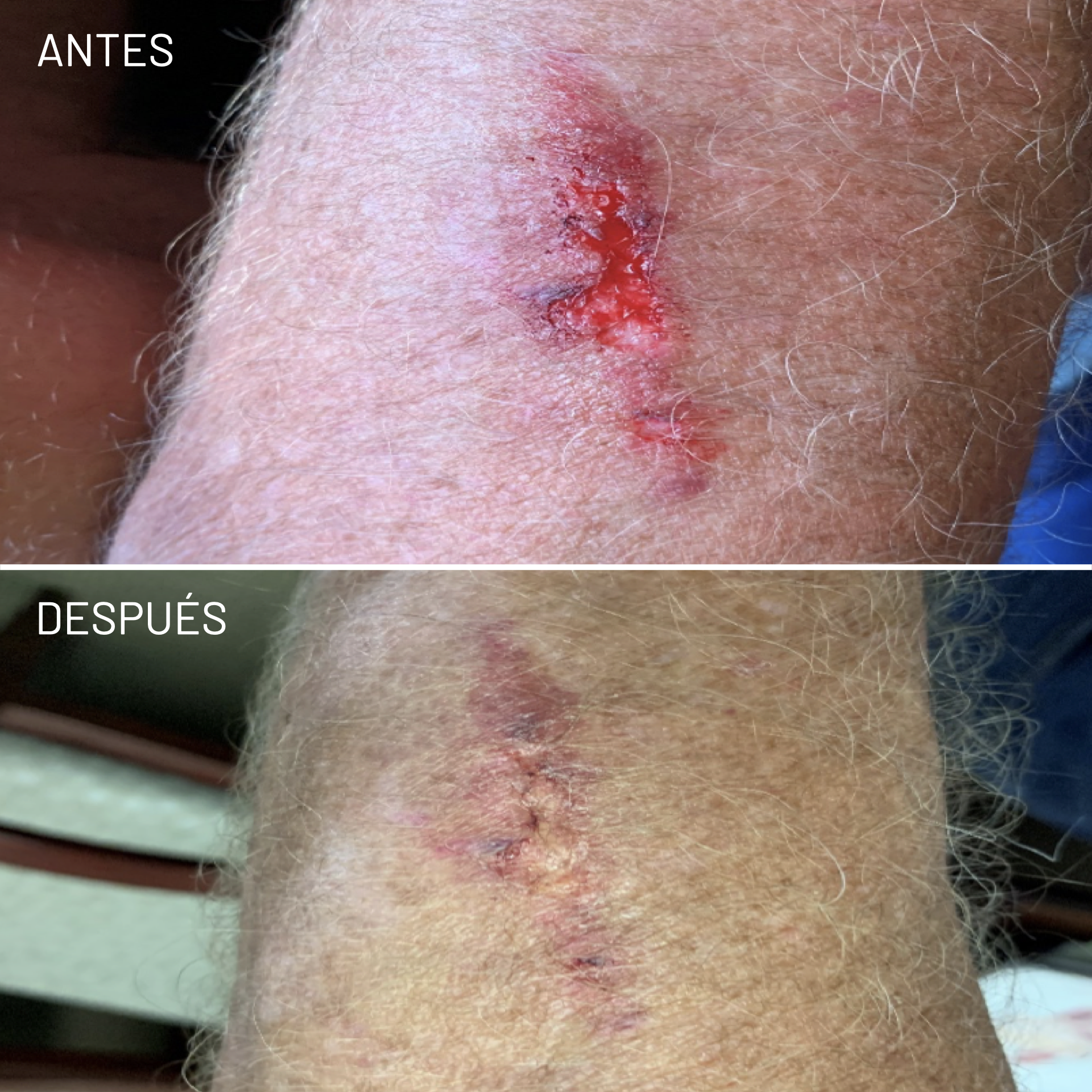 *Cortesía de Celluma