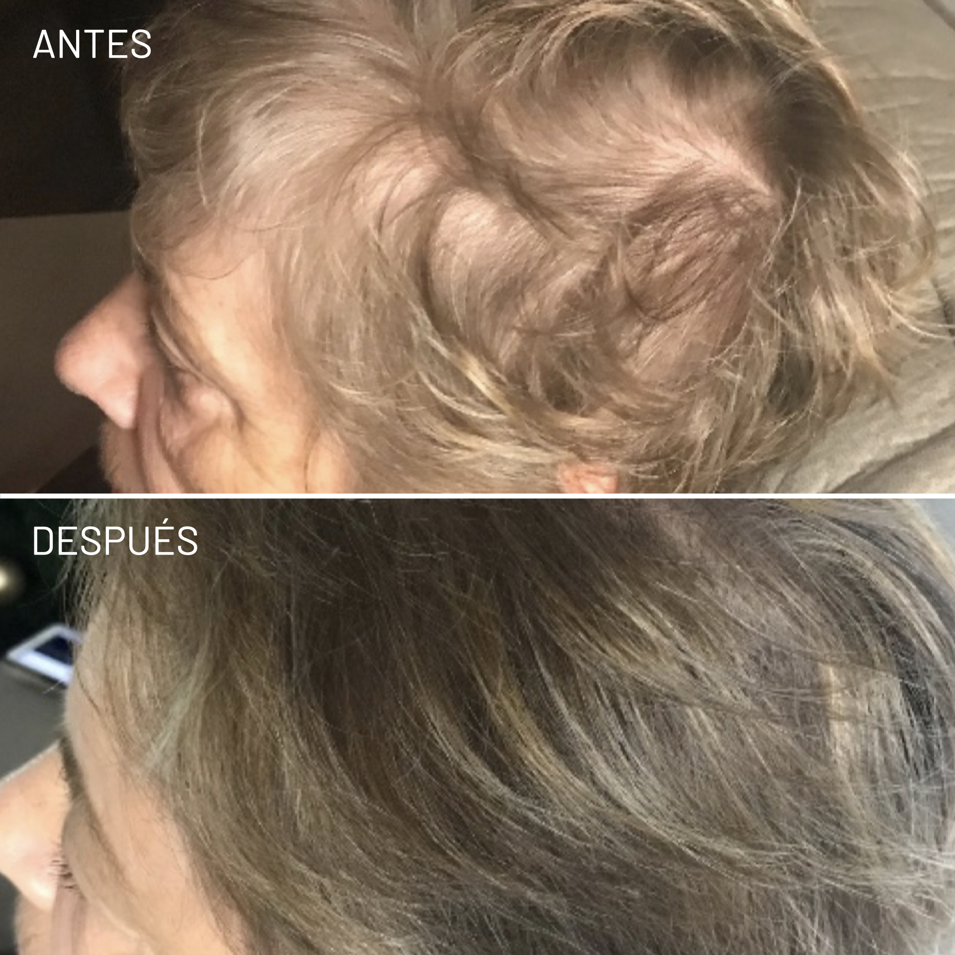 *Cortesía de Celluma